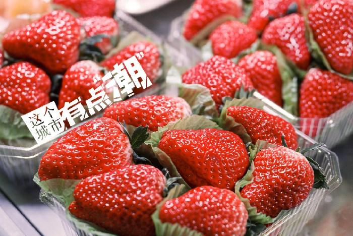丹東：這一口鮮甜，開啟冬日“莓”好時光