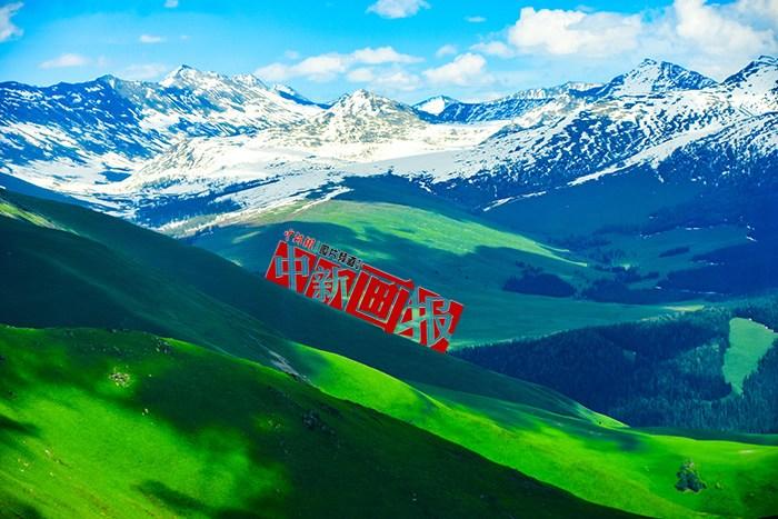 將夏天的“綠” 裝進(jìn)屏幕里，一組護(hù)眼壁紙請查收！