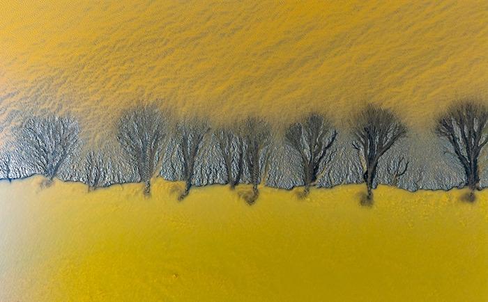 浙江海寧：錢塘江畔壯美“潮汐樹(shù)”