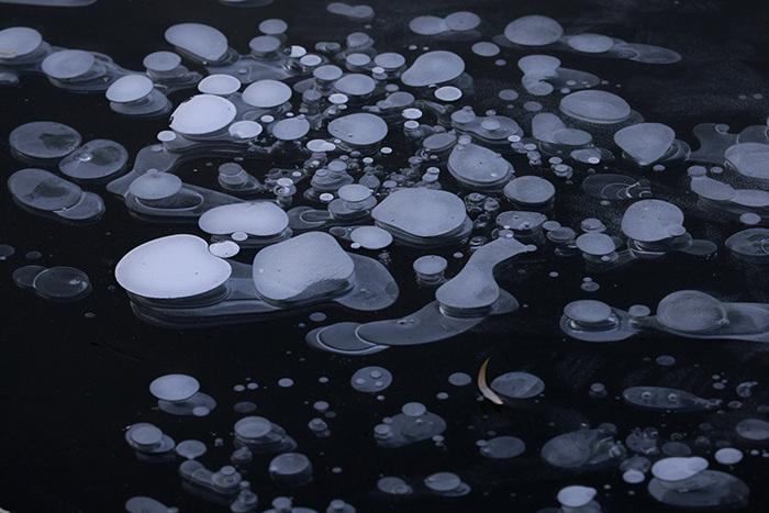 哈爾濱：松花江凍出晶瑩“冰泡泡”