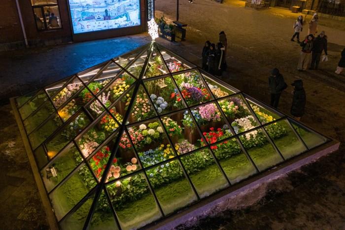 哈爾濱再添浪漫風(fēng)景 “玻璃花房”引游人