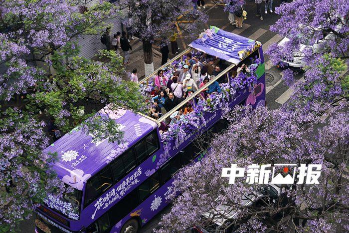 當公路遇上繁花 城市“花路”撞色大片來了