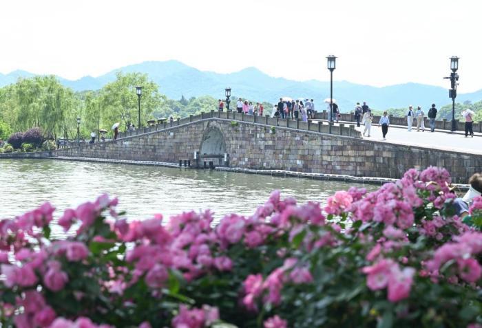 杭州入夏升溫 西湖逐步“換裝”