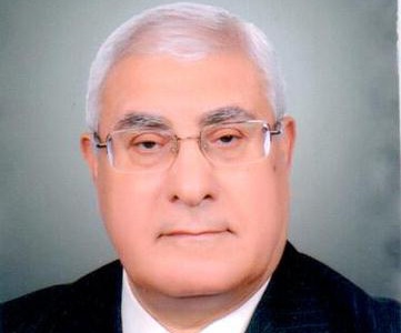 快訊:埃及憲法法院院長曼蘇爾就任臨時(shí)總統(tǒng)