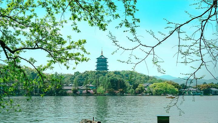 江山如此多嬌 | 西湖美景，八月天吶
