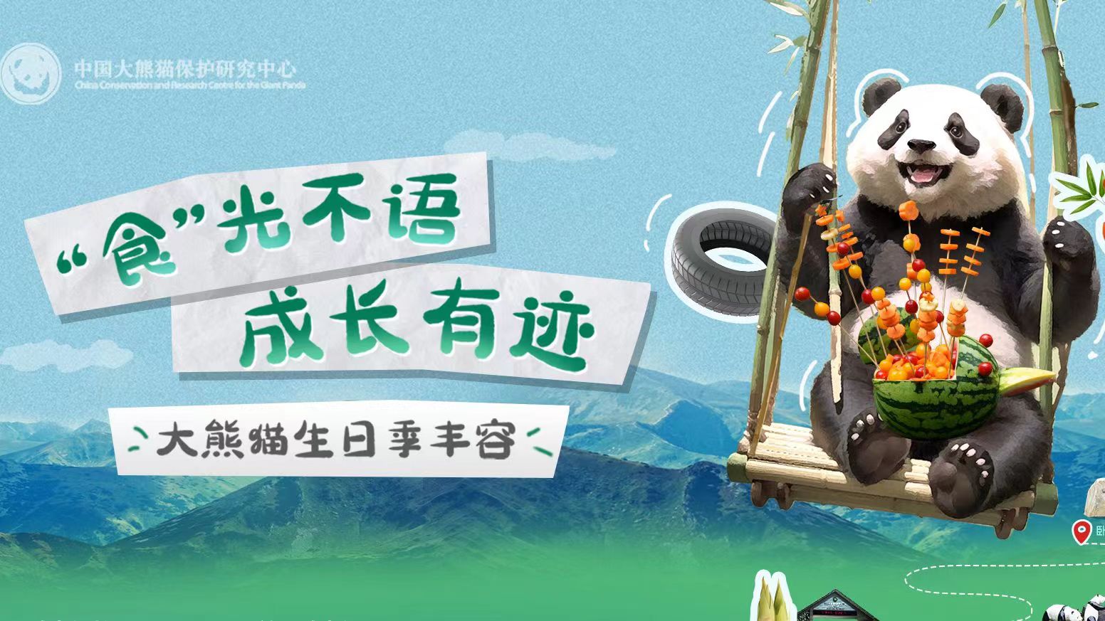  大熊貓也過中秋節(jié)？一起來看國寶的中秋禮物 