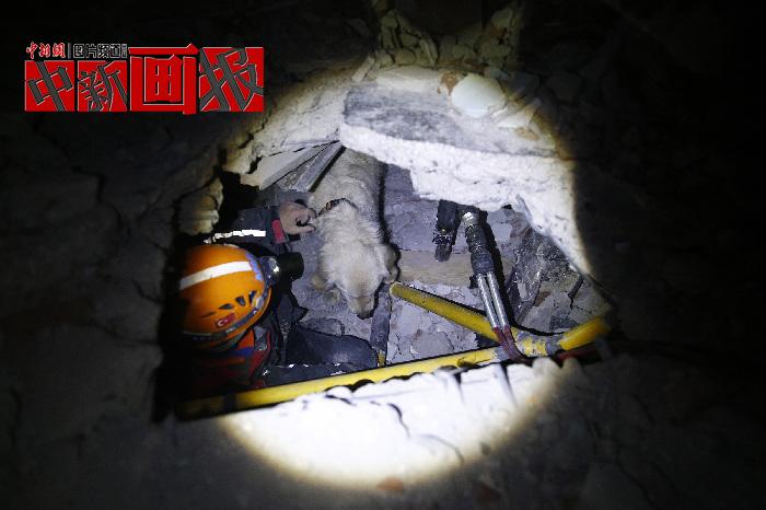 汪汪隊立大功！廢墟中尋找生命之光的搜救犬