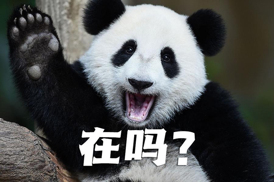 【世界微笑日特刊】嘿嘿，今天你笑了嗎？